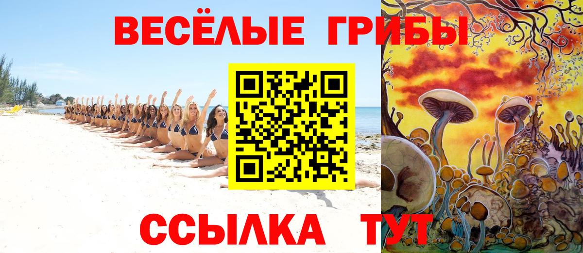 Аргун  Галлюциногенные грибы GOLDEN TEACHER  Вход с VPN 